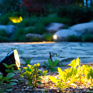 Grounds landscape lighting