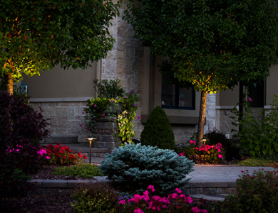 Garden with lighting accents